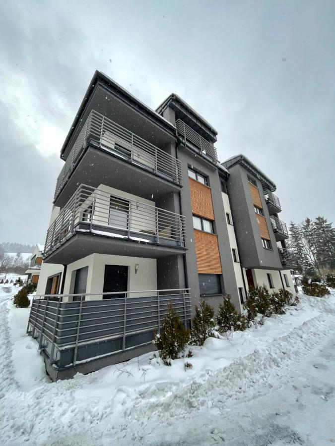 Apartament Apartament na Spokojnej Wisła Zewnętrze zdjęcie